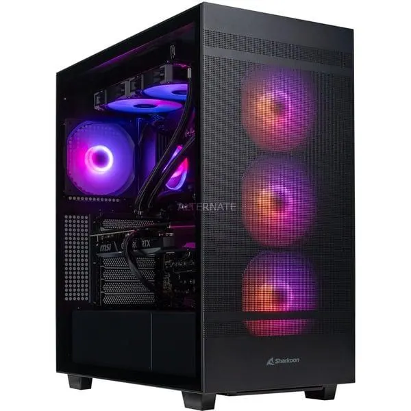 Gamer Starter R5-4070 gaming pc