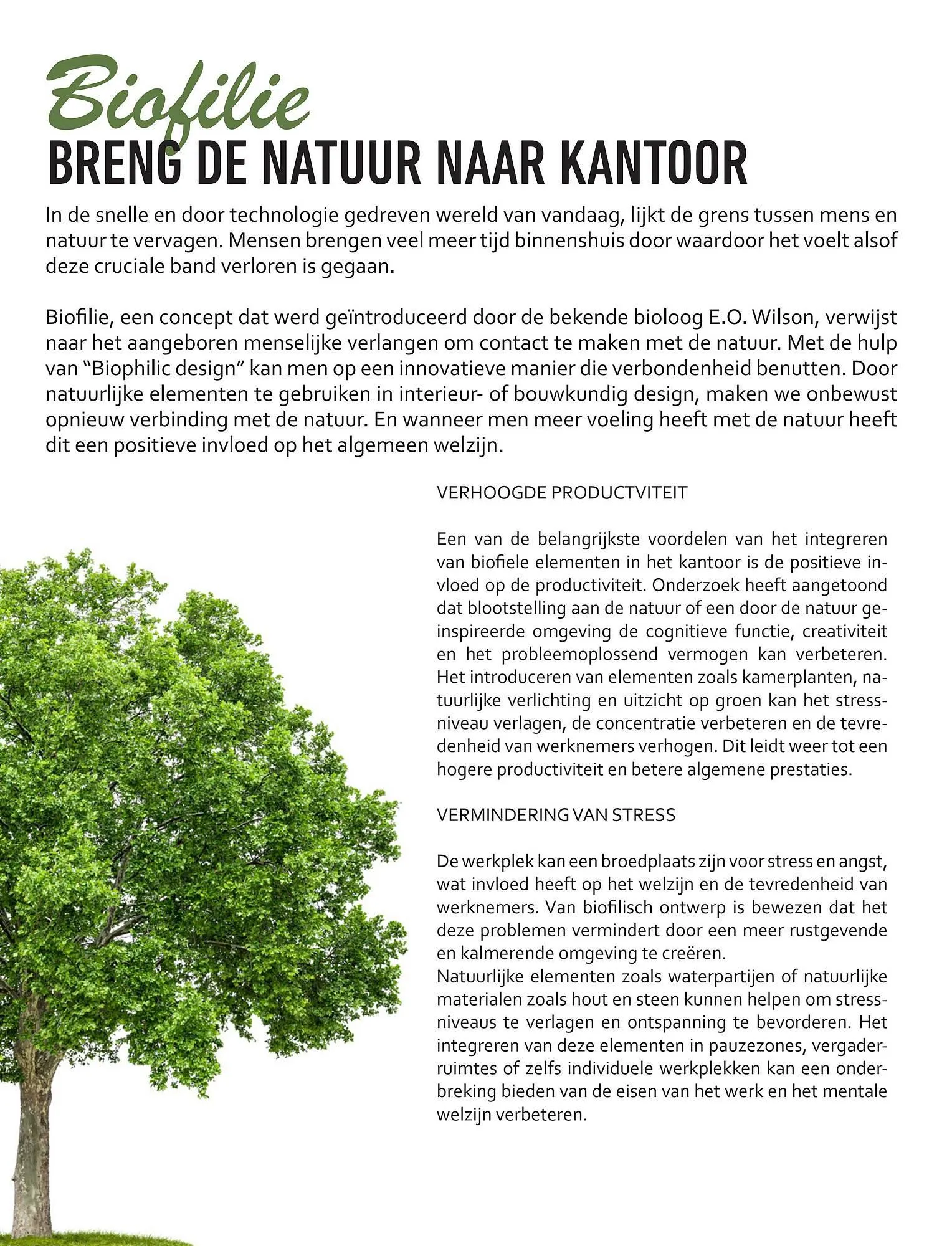 Buro Market folder van 2 september tot 8 september 2023 - folder pagina 4