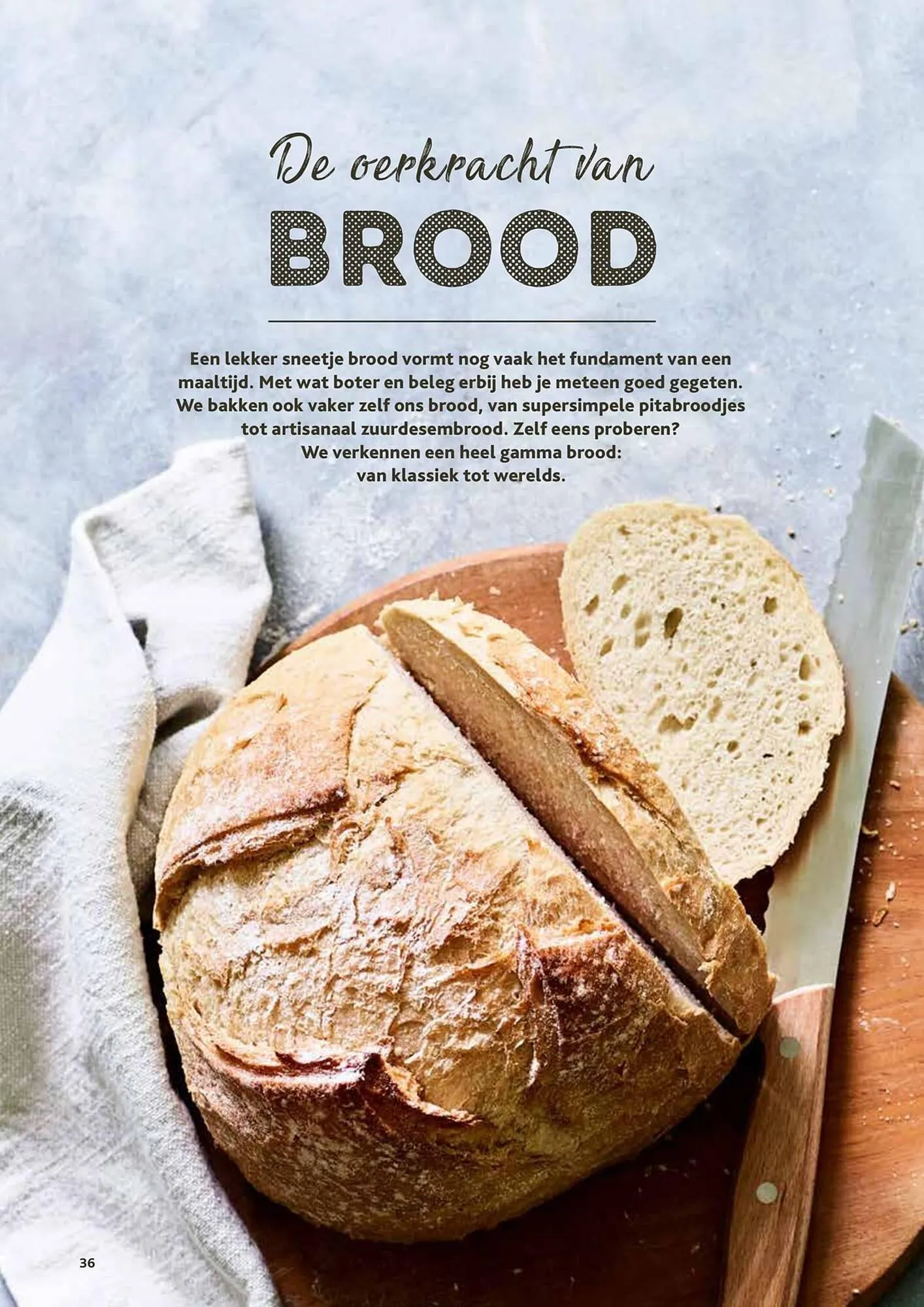 Alvo folder van 8 oktober tot 30 november 2025 - folder pagina 36