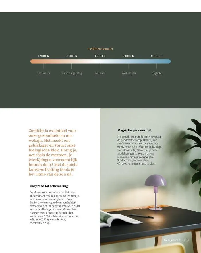 Thuisgevoel  van 17 oktober tot 31 januari 2025 - folder pagina 53