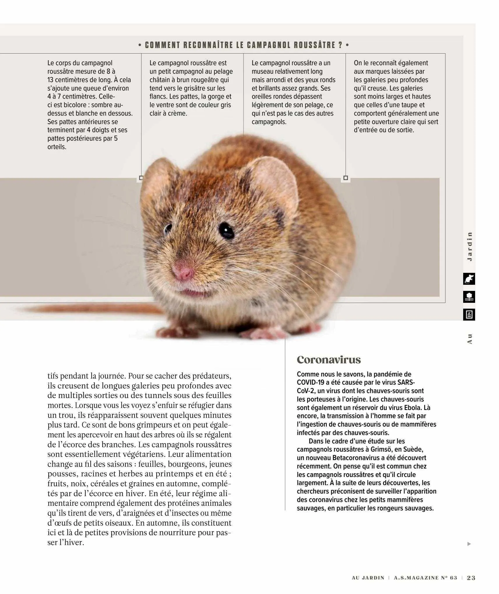 AS Adventure Magazine van 10 september tot 10 september 2023 - folder pagina 23