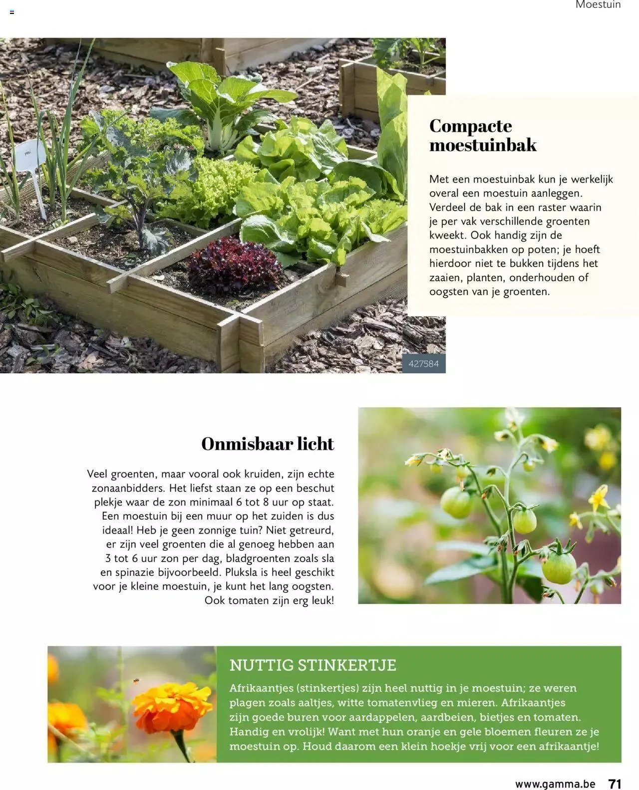 GAMMA tuinmagazine 2022 van 22 maart tot 31 december 2023 - folder pagina 71