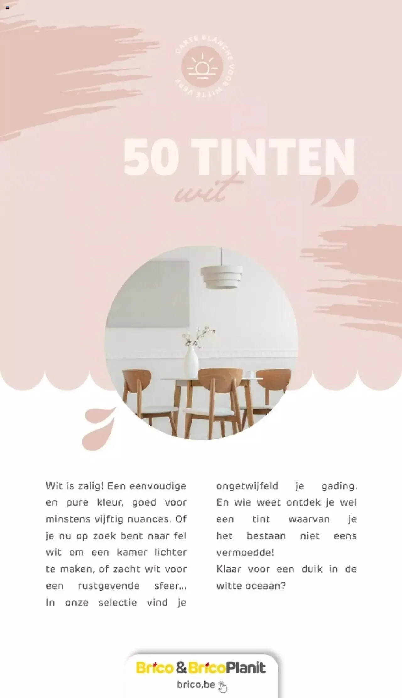 Brico - Verfmagazine van 14 juni tot 31 december 2023 - folder pagina 33