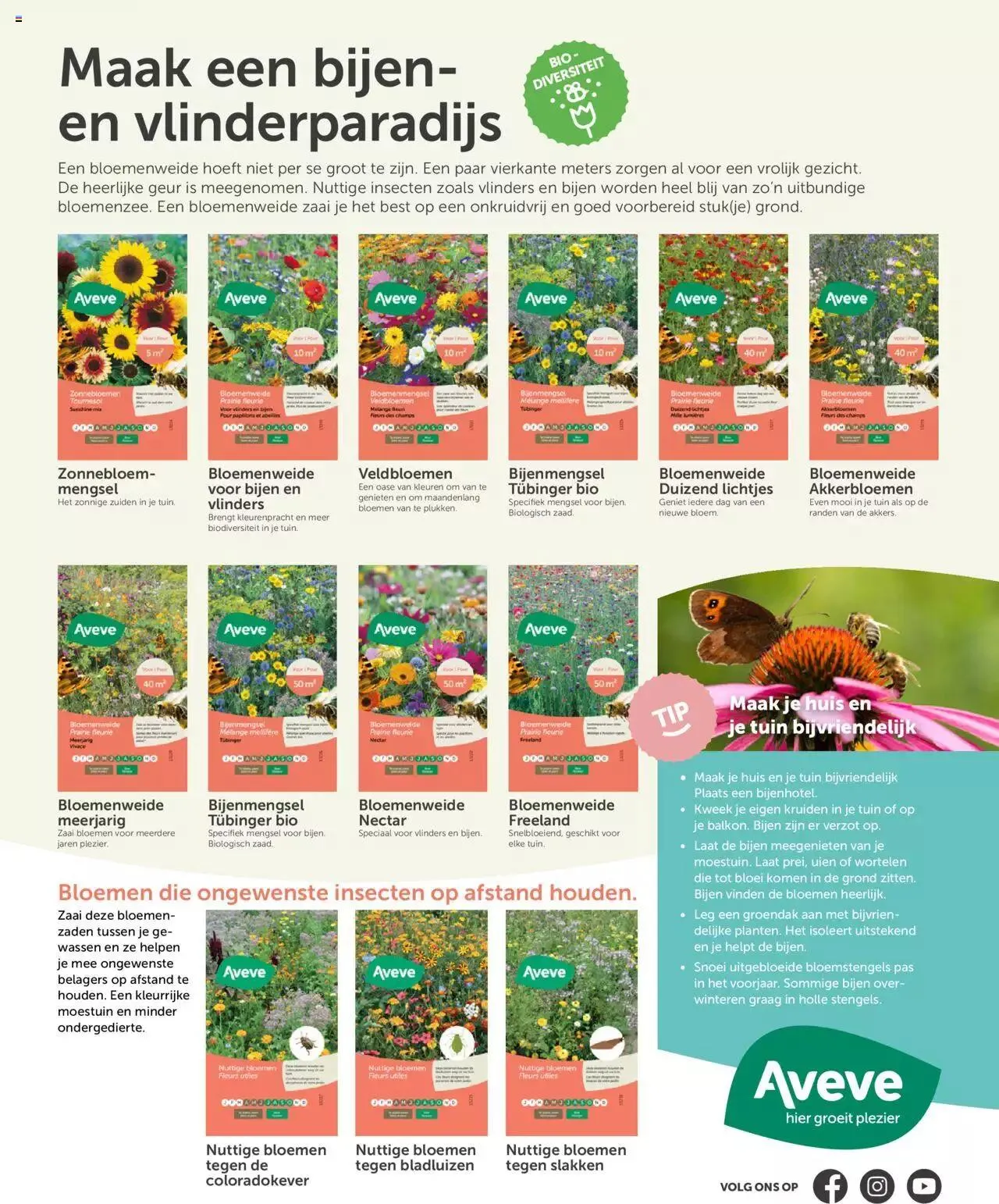 Aveve groente- en kruidengids van 31 december tot 31 december 2023 - folder pagina 36