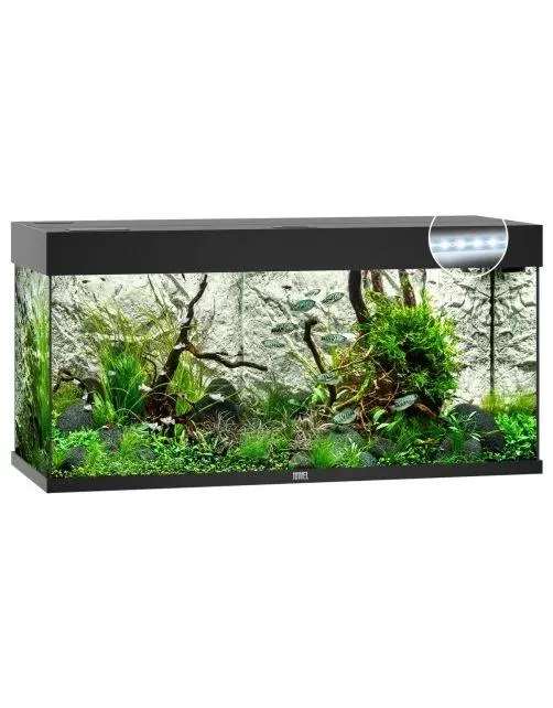 Juwel Aquarium Rio 180 Led 101x41x50 cm - Aquaria