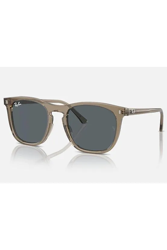 RAY-BAN PROPIONATE UNISEX SUNGLASS