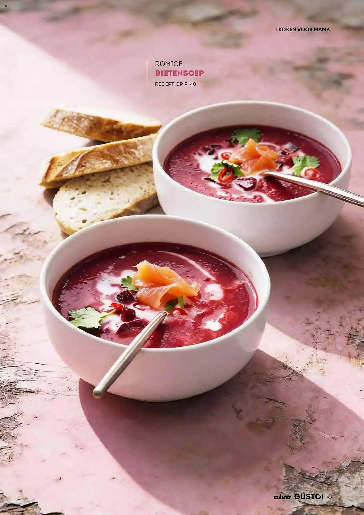 Alvo magazine van 25 maart tot 25 mei 2026 - folder pagina 37