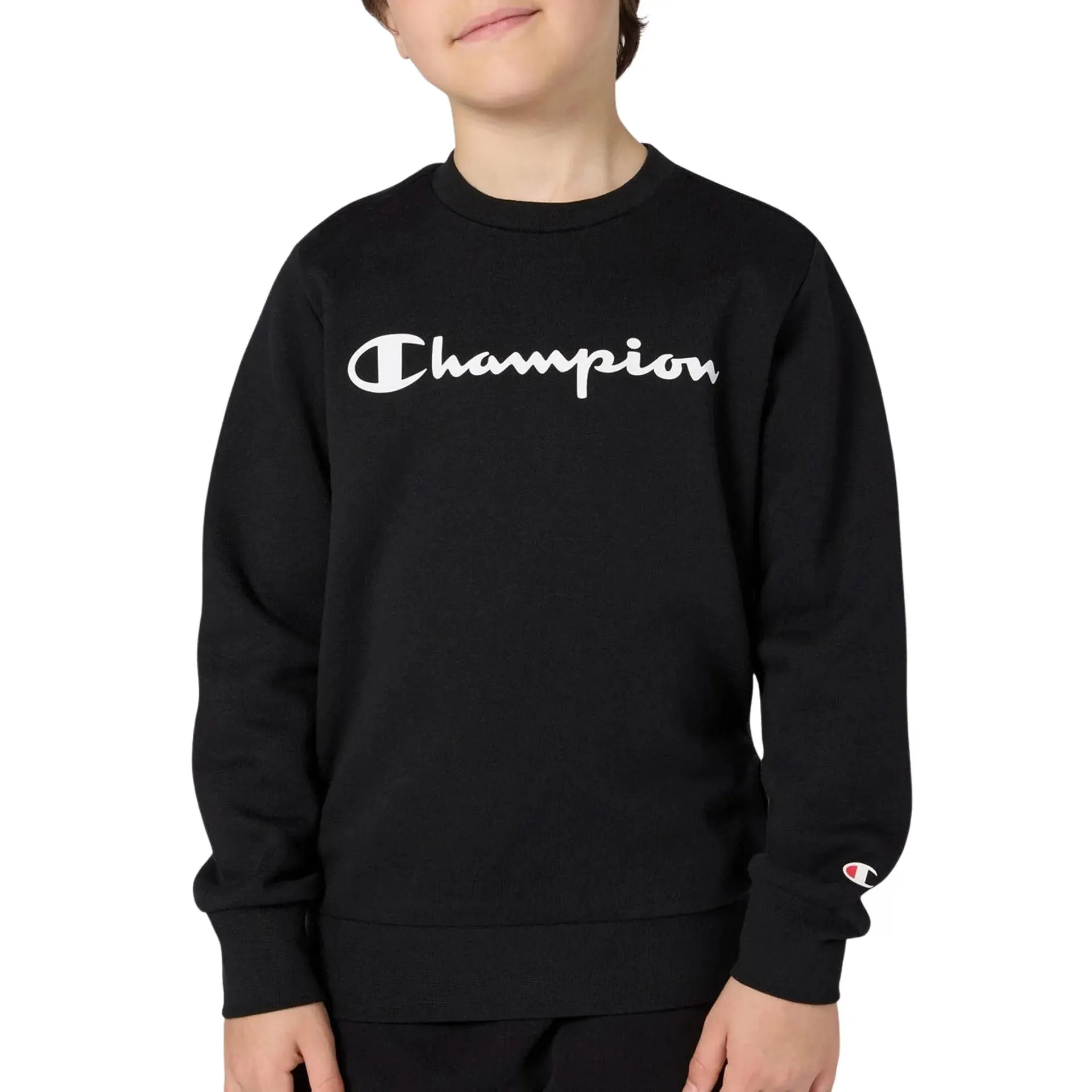 Script Logo Crewneck Sweater Junior