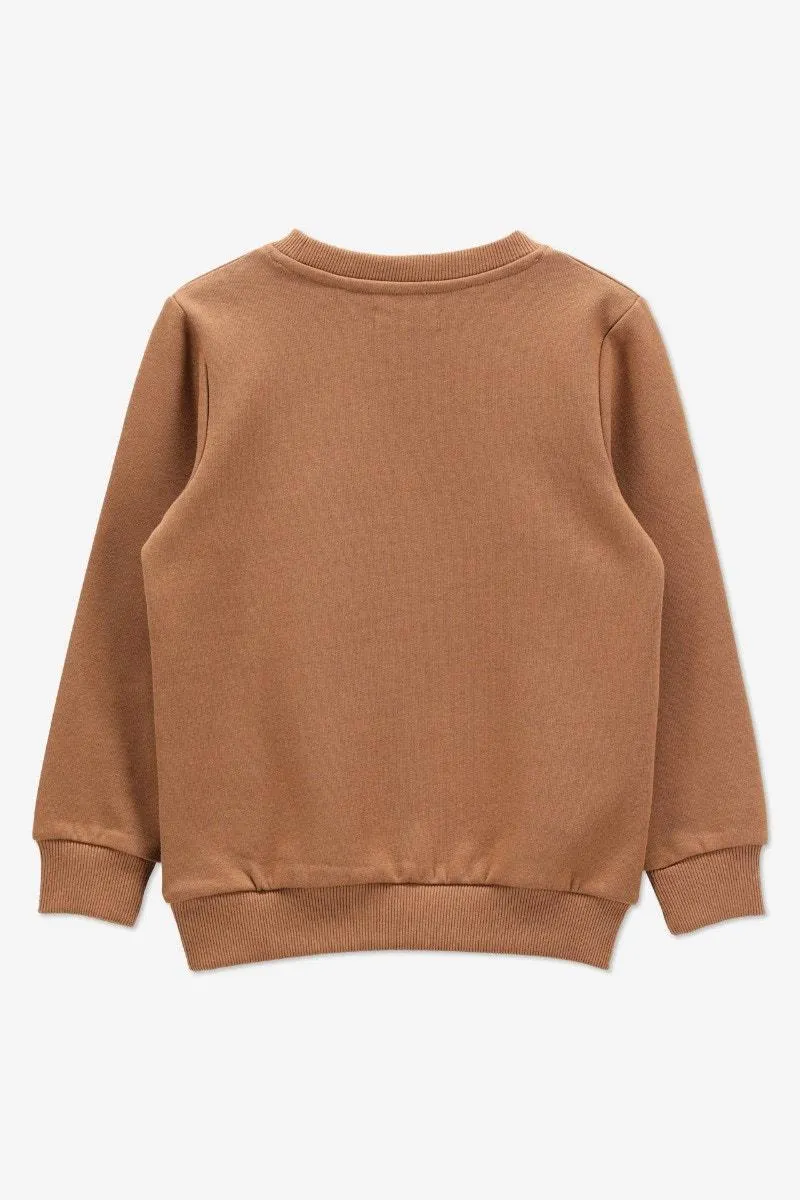 Bruine sweater Mountains to Climb