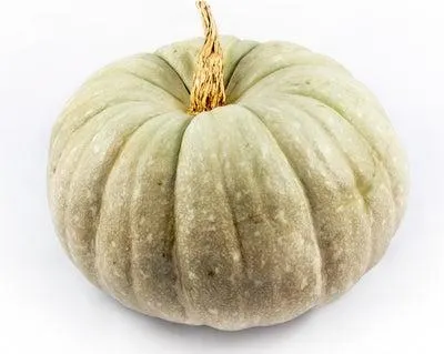 Pompoen (Cucurbita 'Jarrahdale') D 30 cm