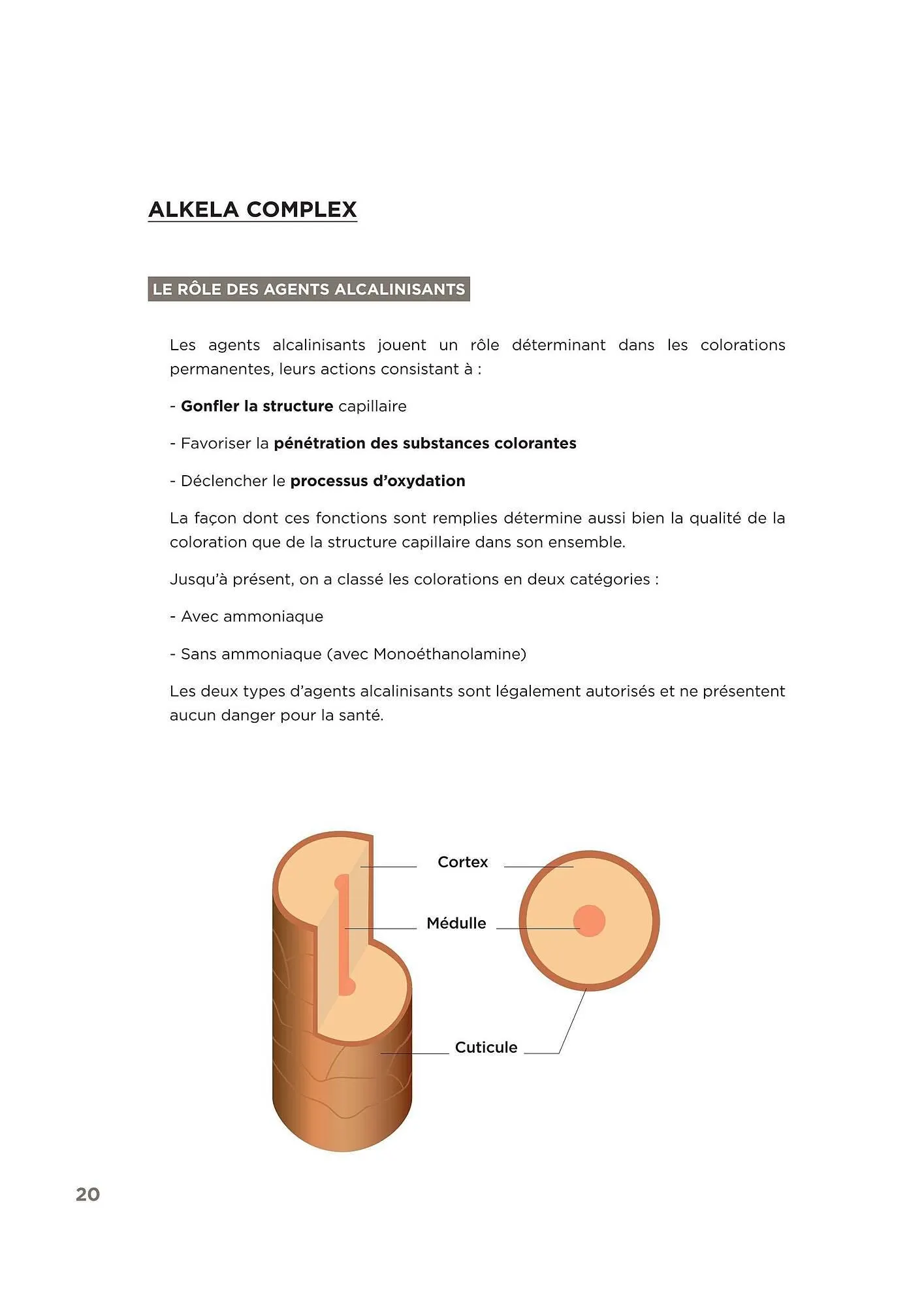 Pro-Duo folder van 1 maart tot 7 maart 2026 - folder pagina 20