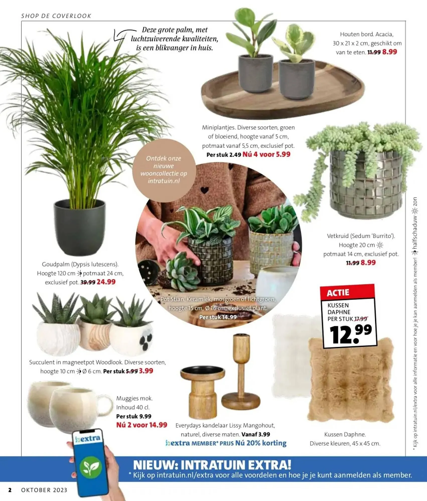 Intratuin Folder - 2