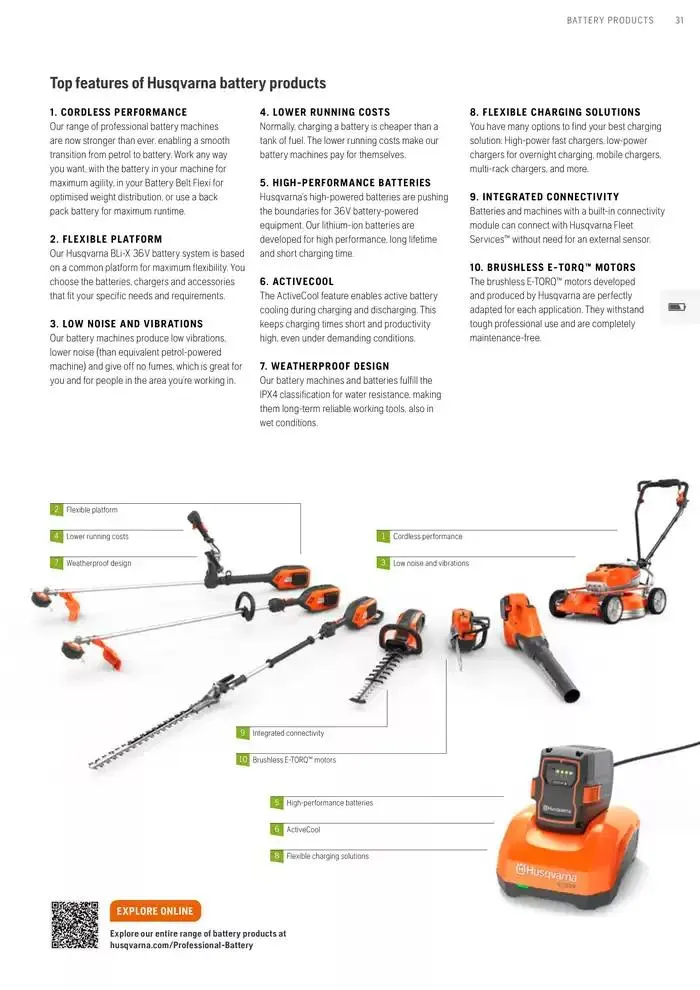 Products van 15 januari tot 15 januari 2026 - folder pagina 31