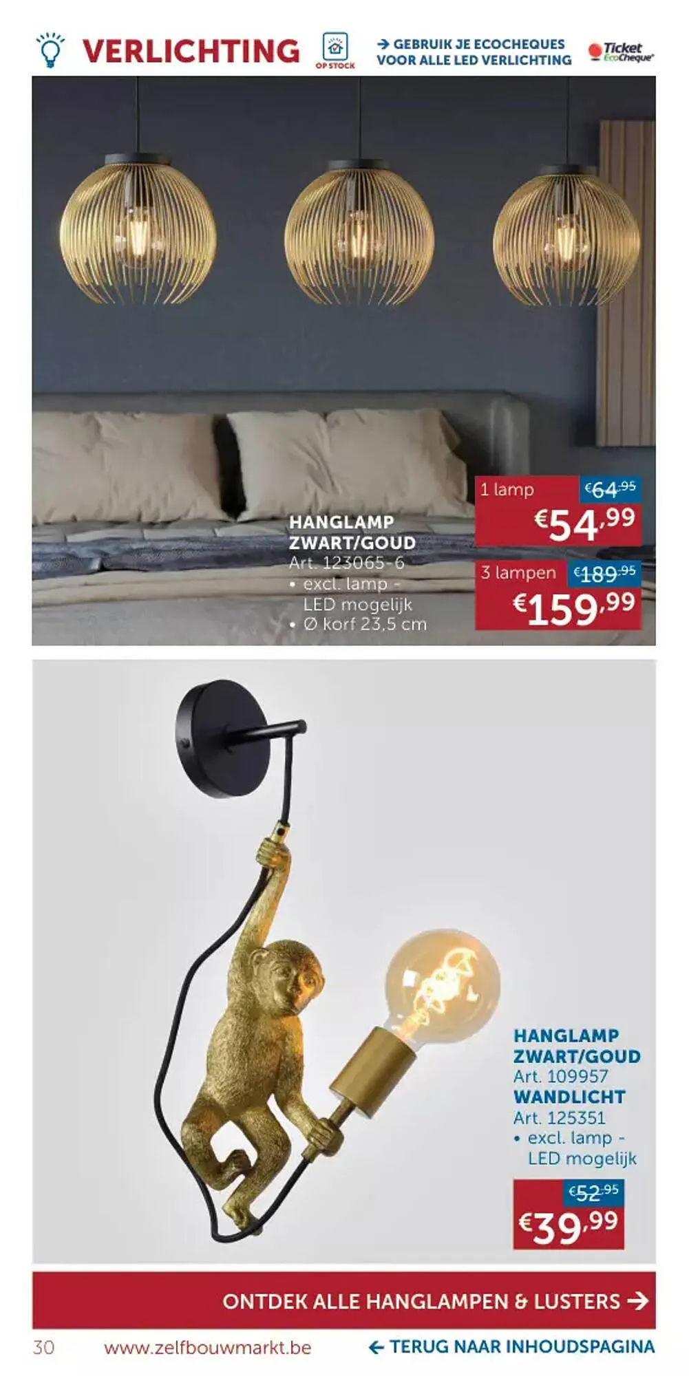 Zelfbouwmarkt Folder van 24 juli tot 24 juli 2023 - folder pagina 29