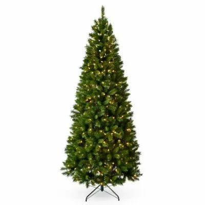 National Tree Company 31HCAN60L Canton Slim LED - 183 cm