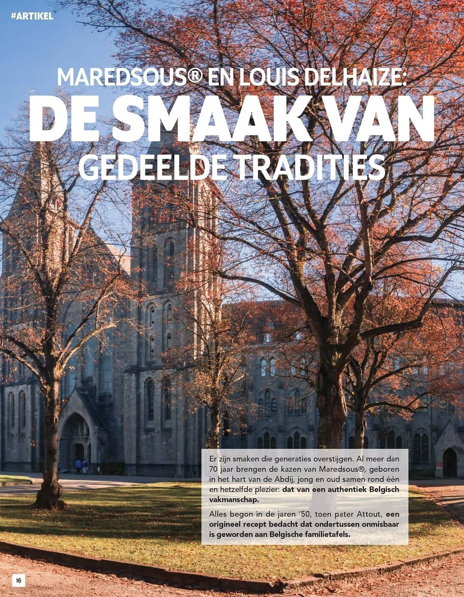 Louis Delhaize folder van 24 oktober tot 7 november 2025 - folder pagina 16