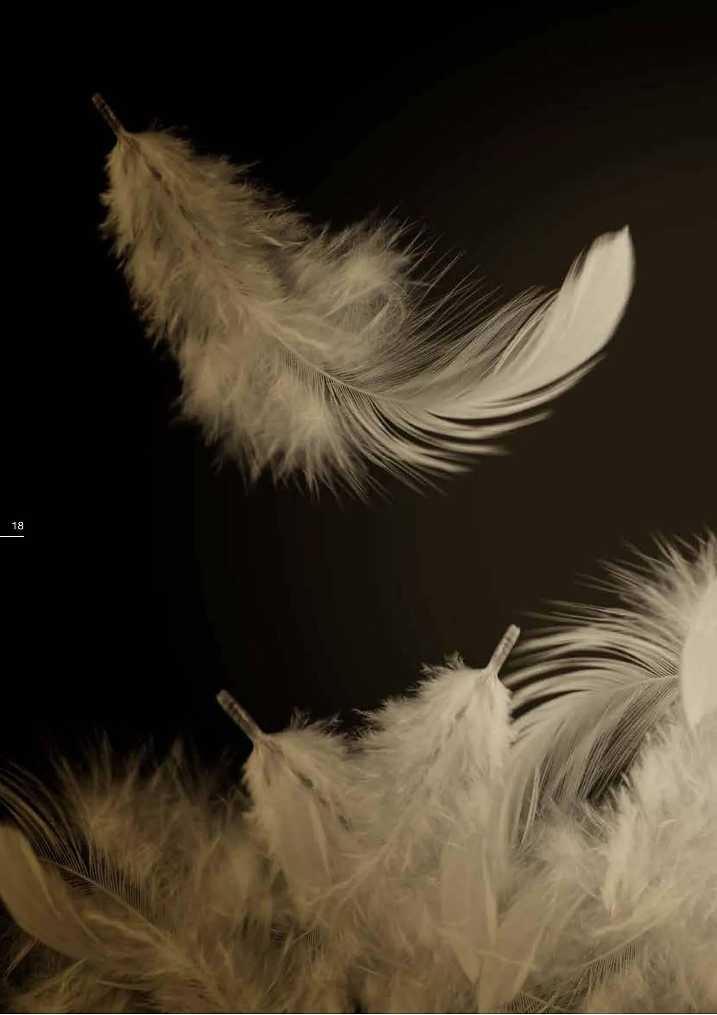 Chateau d'Ax folder van 6 september tot 30 september 2023 - folder pagina 18