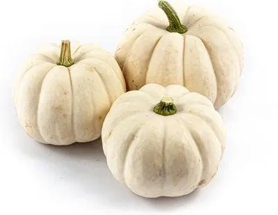 Pompoen (Cucurbita 'Casperita') D 12,5 cm