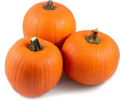 Sierkalebas (Cucurbita 'Halloween') D 10 cm