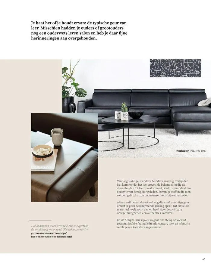 Thuisgevoel  van 17 oktober tot 31 januari 2025 - folder pagina 65