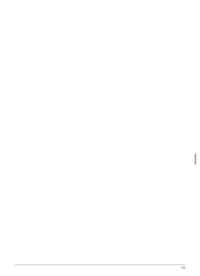 Catalogus 2025 van 17 januari tot 17 januari 2026 - folder pagina 509