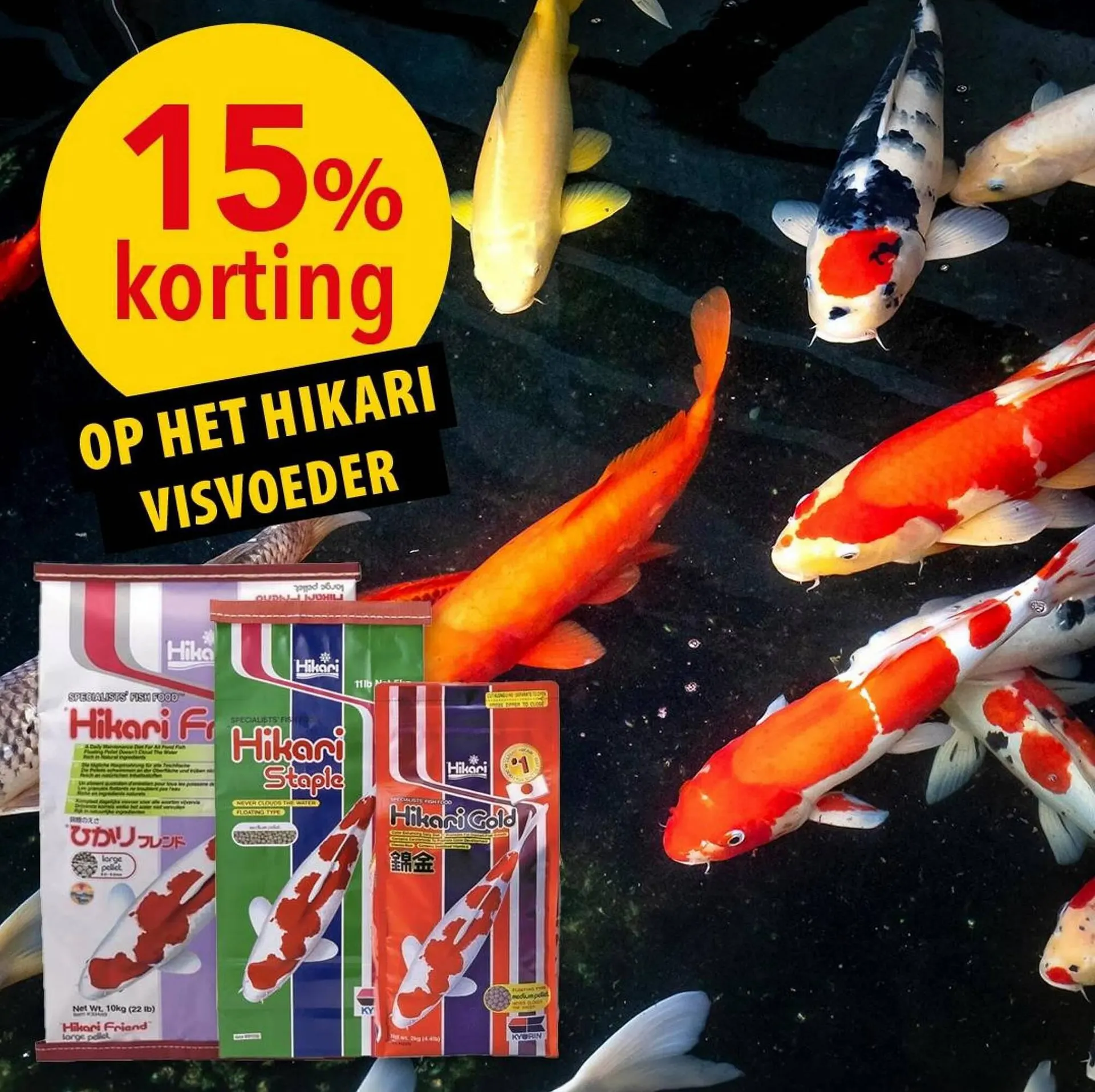 Pelckmans Folder van 14 augustus tot 14 augustus 2023 - folder pagina 3