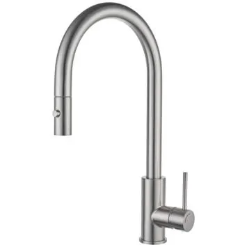 Atlantic keukenkraan Colin RVS uittrekbaar