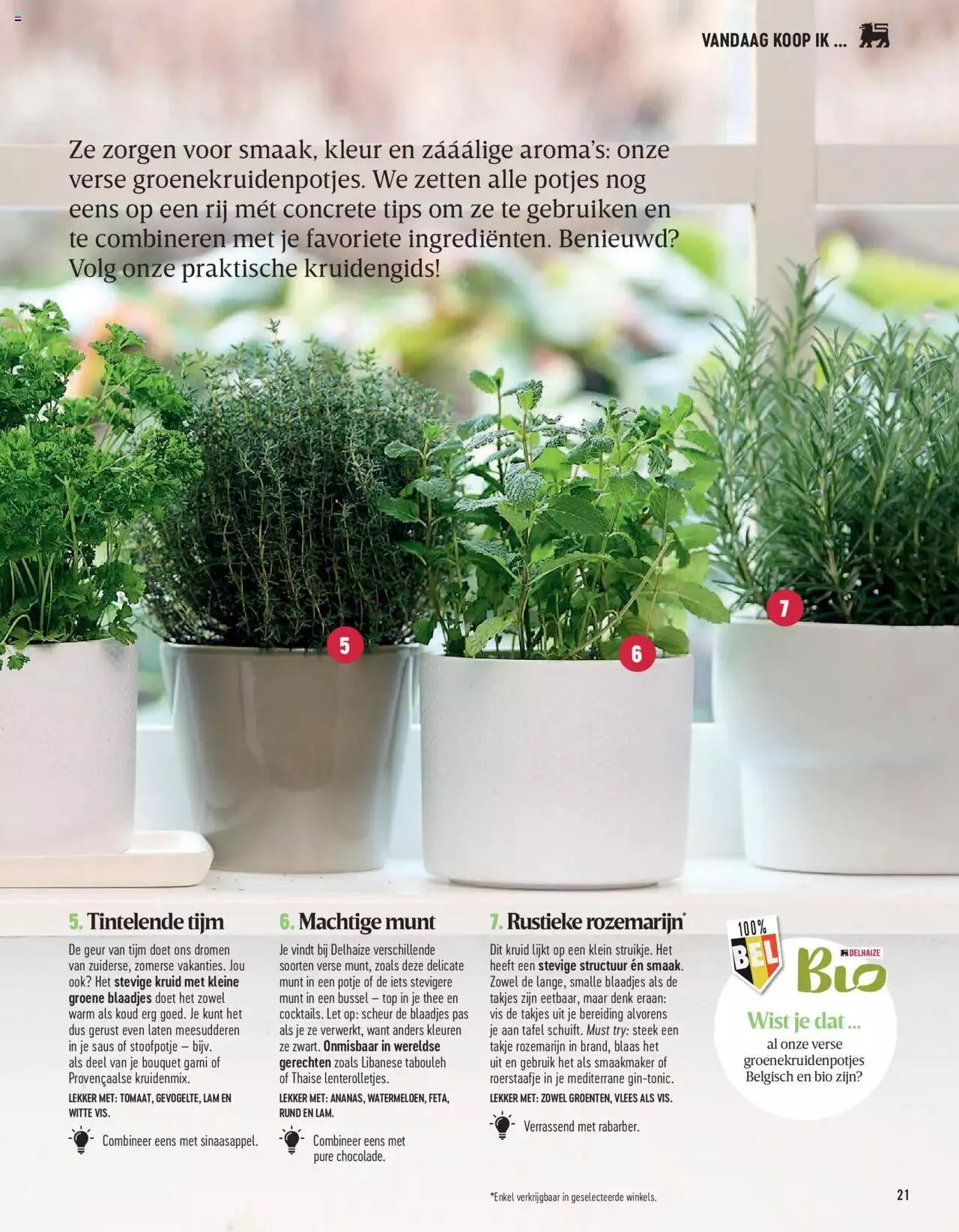 Delhaize Magazine N°69 NL van 31 mei tot 31 december 2023 - folder pagina 21