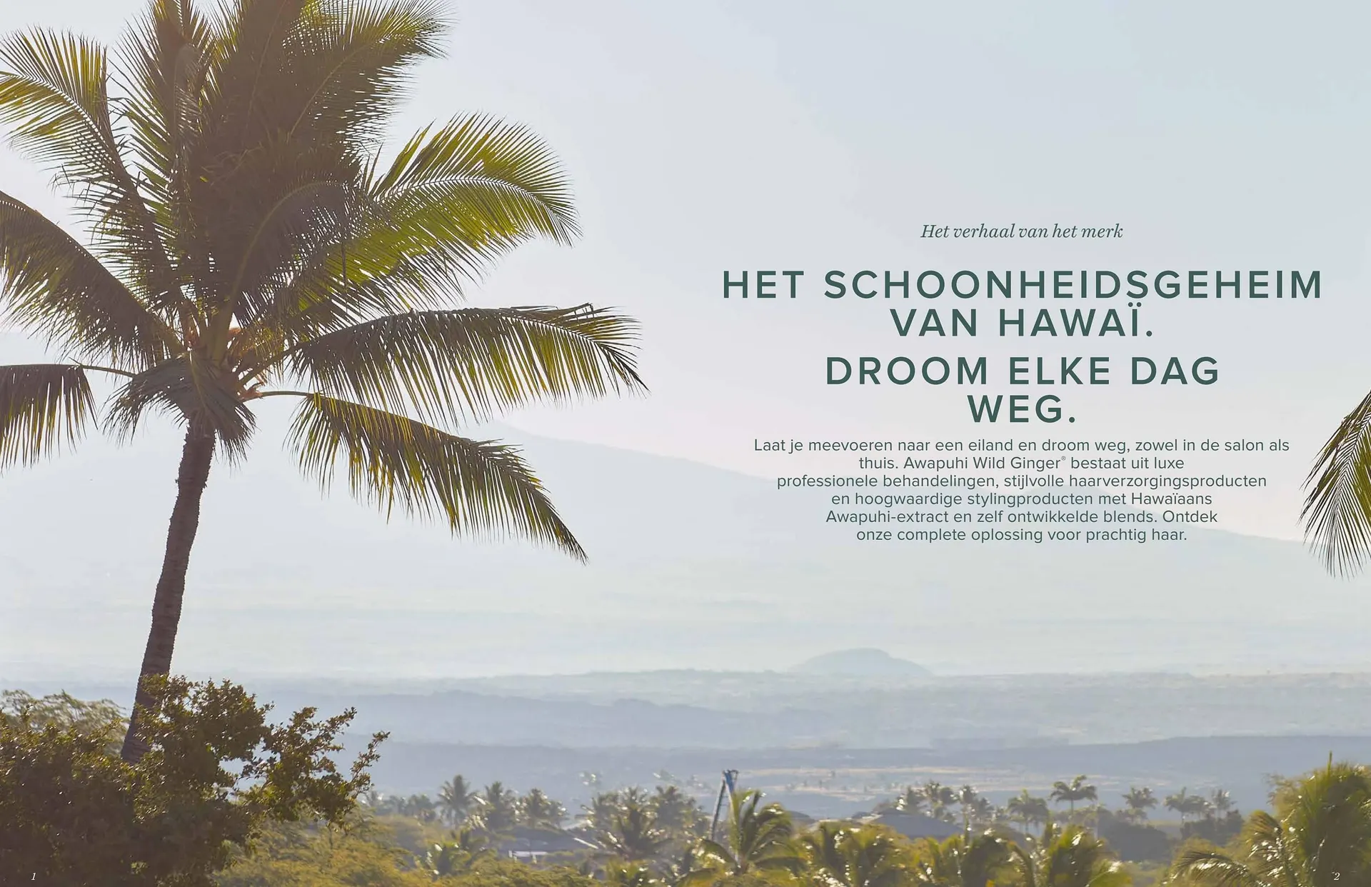 Pro-Duo folder van 1 maart tot 30 april 2024 - folder pagina 3