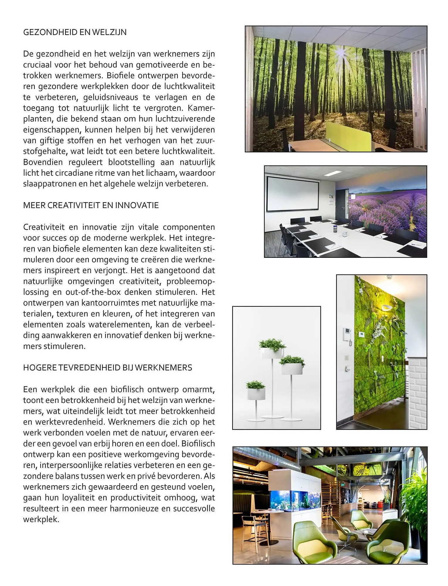 Buro Market folder van 2 september tot 8 september 2023 - folder pagina 5