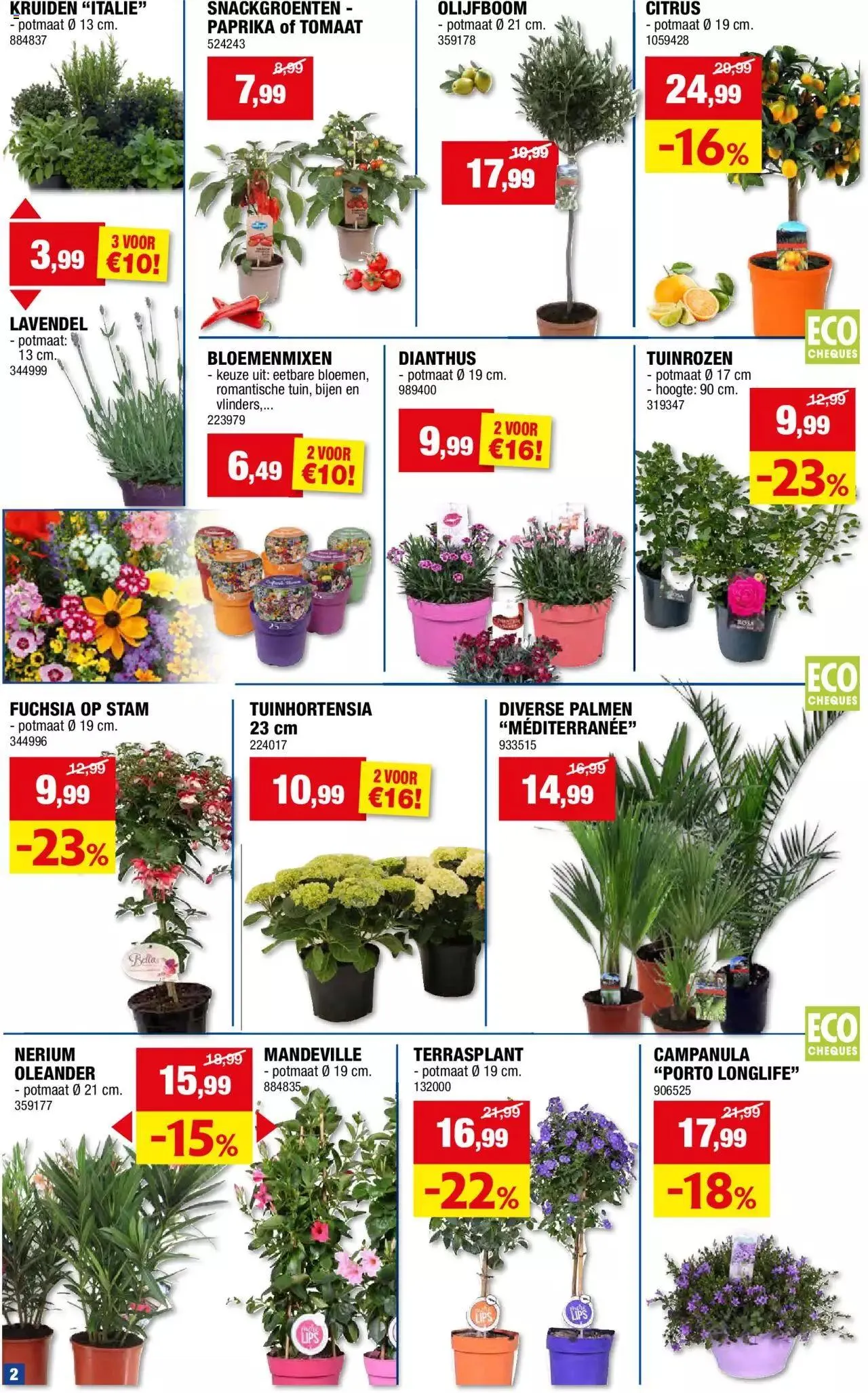 Hubo folder van 19 mei tot 31 december 2024 - folder pagina 2