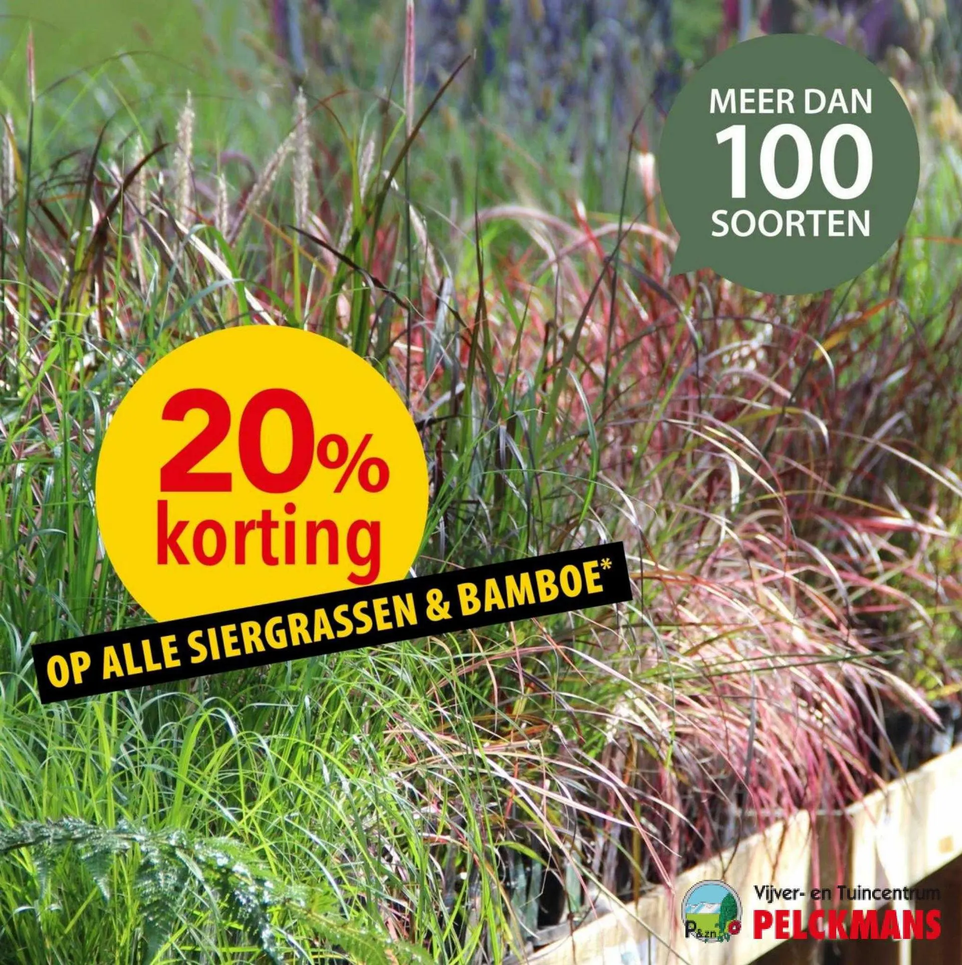 Pelckmans Folder van 12 september tot 12 september 2023 - folder pagina 1