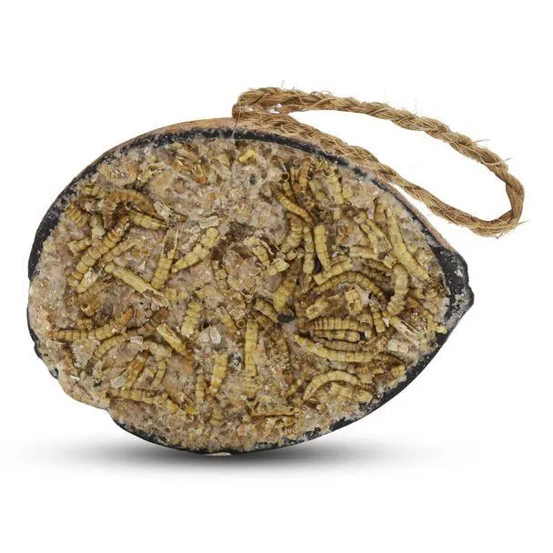 Halve kokosnoot met meelwormen