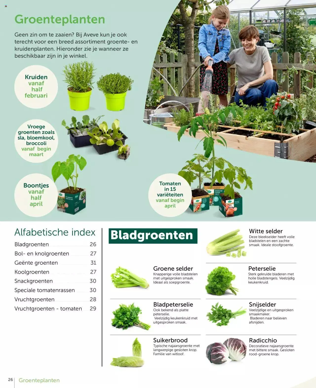 Aveve groente- en kruidengids van 31 december tot 31 december 2023 - folder pagina 26