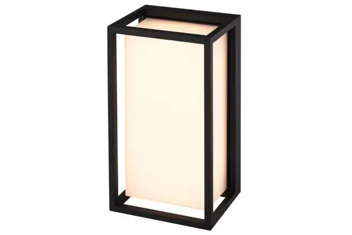 Wandlamp zwart 9W SMD