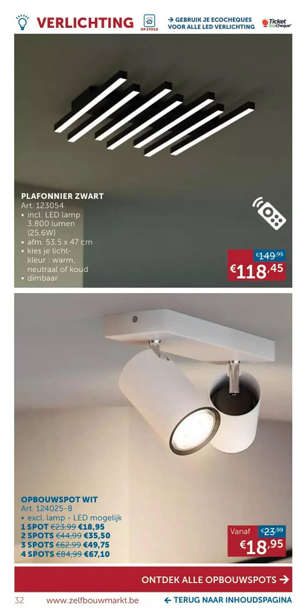 Zelfbouwmarkt Folder van 24 juli tot 24 juli 2023 - folder pagina 31