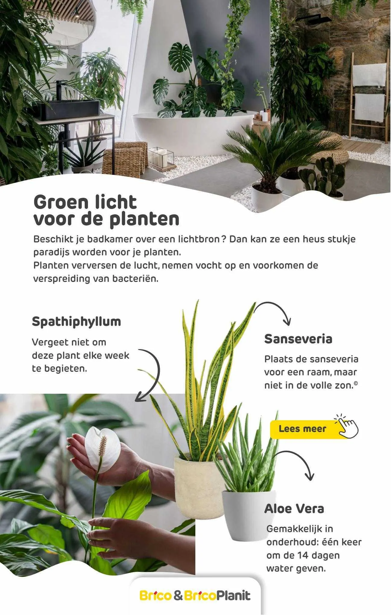 Brico Folder van 2 mei tot 2 mei 2024 - folder pagina 72