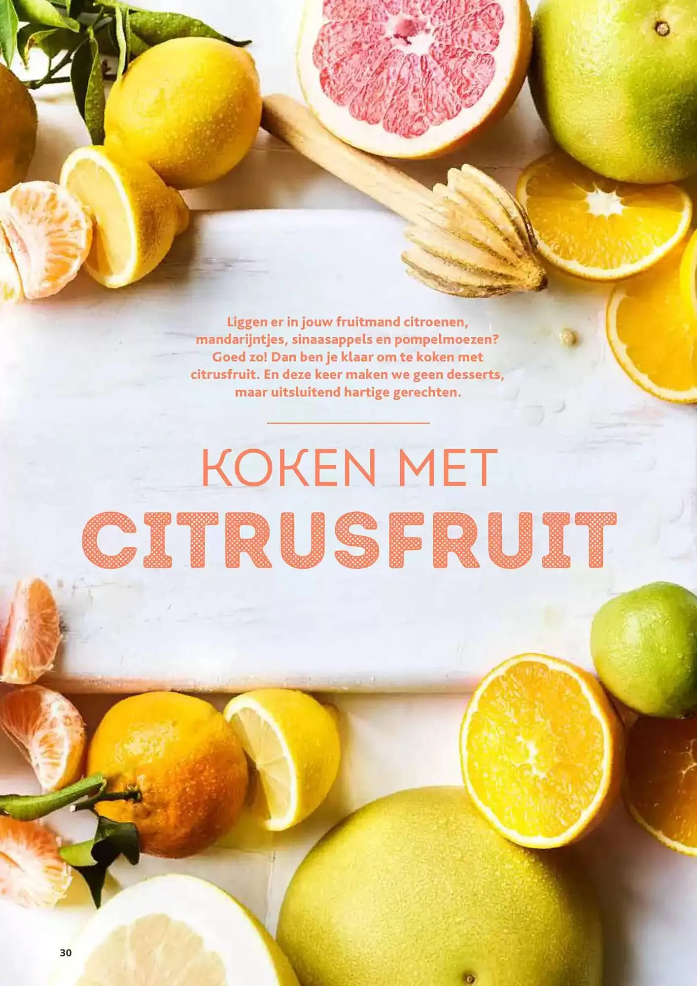 Alvo folder van 14 januari tot 31 maart 2025 - folder pagina 30