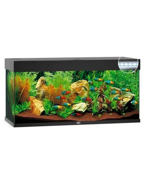 Juwel Aquarium Rio 240 Led 121x41x50 cm - Aquaria