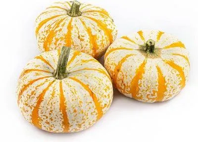 Pompoen (Cucurbita 'Lil' Pump-ke-mon') D 11 cm