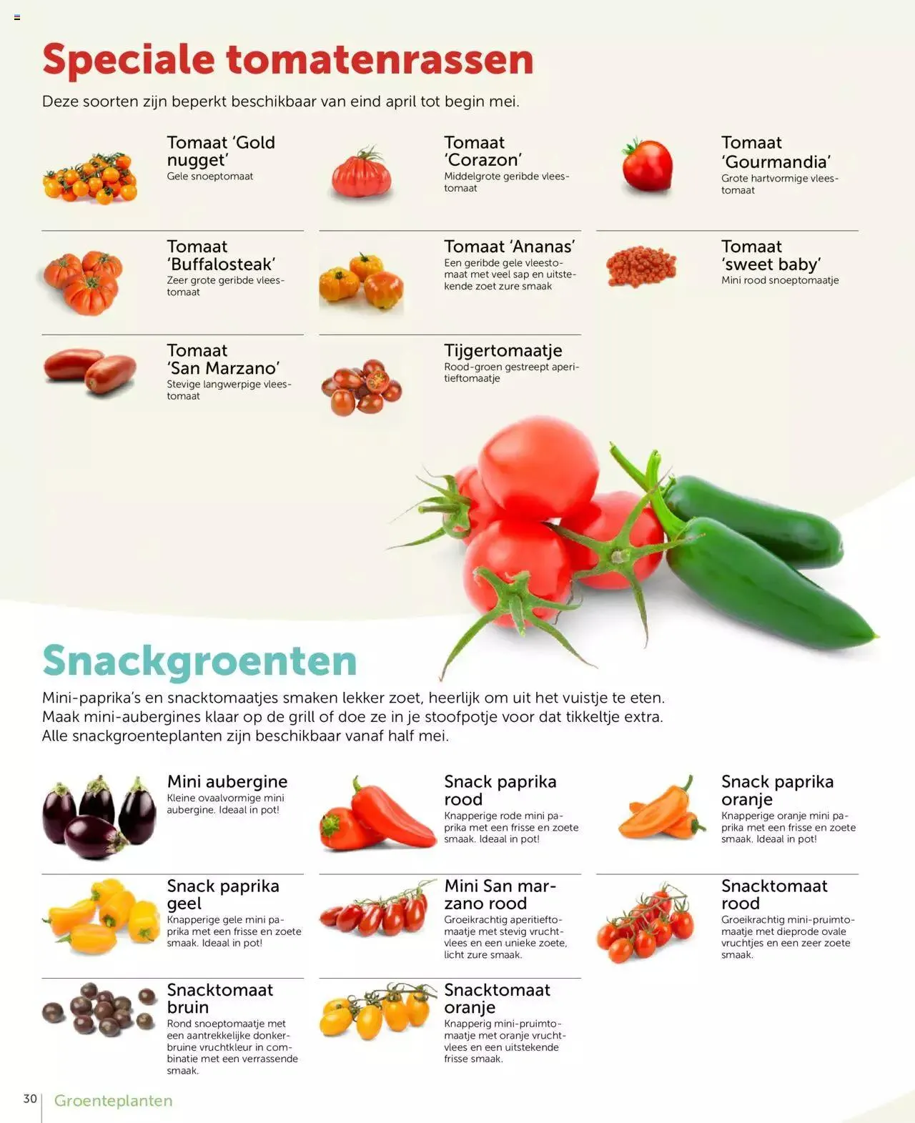 Aveve groente- en kruidengids van 31 december tot 31 december 2023 - folder pagina 30