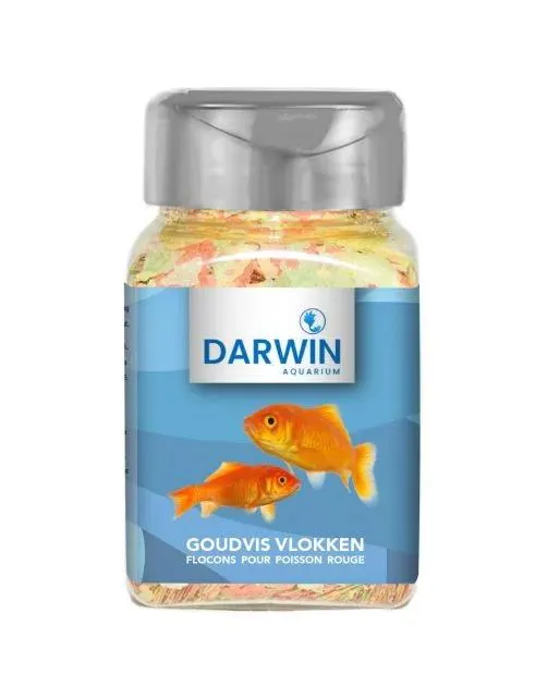 Darwin Goudvis Vlokken - Vissenvoer