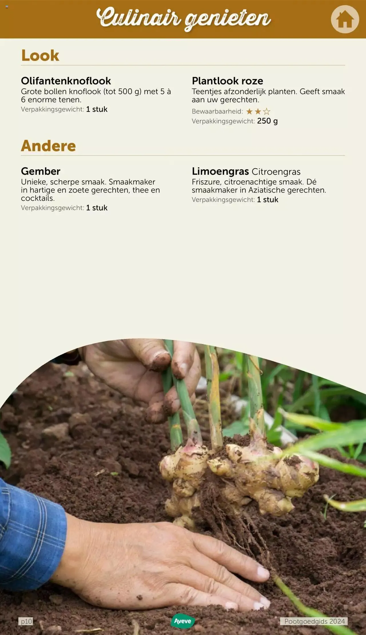 Aveve - Pootgoedgids 2024 van 8 februari tot 13 februari 2024 - folder pagina 10