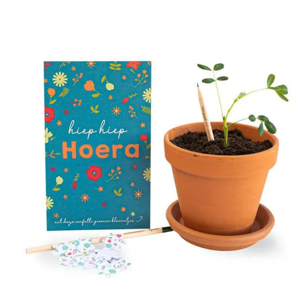 Bloeipotloden Hoera + confetti