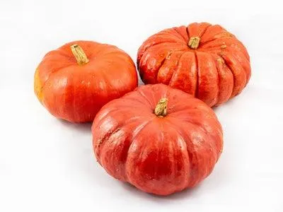 Pompoen (Cucurbita 'Rode van Etampes') D 20 cm