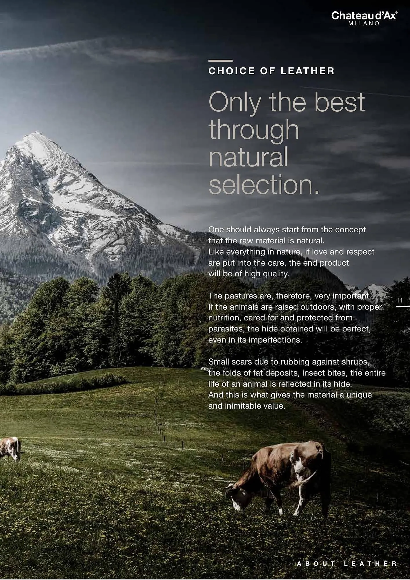 Chateau d'Ax folder van 2 augustus tot 31 augustus 2023 - folder pagina 11