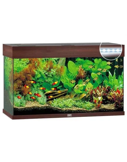 Juwel Aquarium Rio 125 Led 80x35x50 cm - Aquaria - Donkerbruin Ca. 125 L