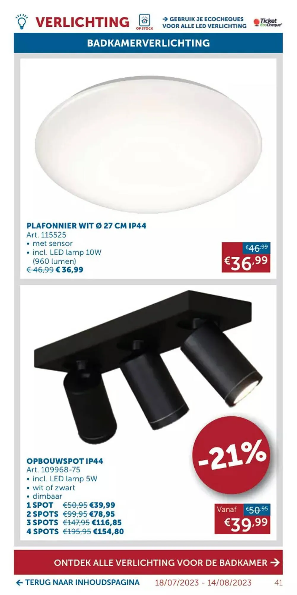 Zelfbouwmarkt folder van 18 juli tot 14 augustus 2023 - folder pagina 41