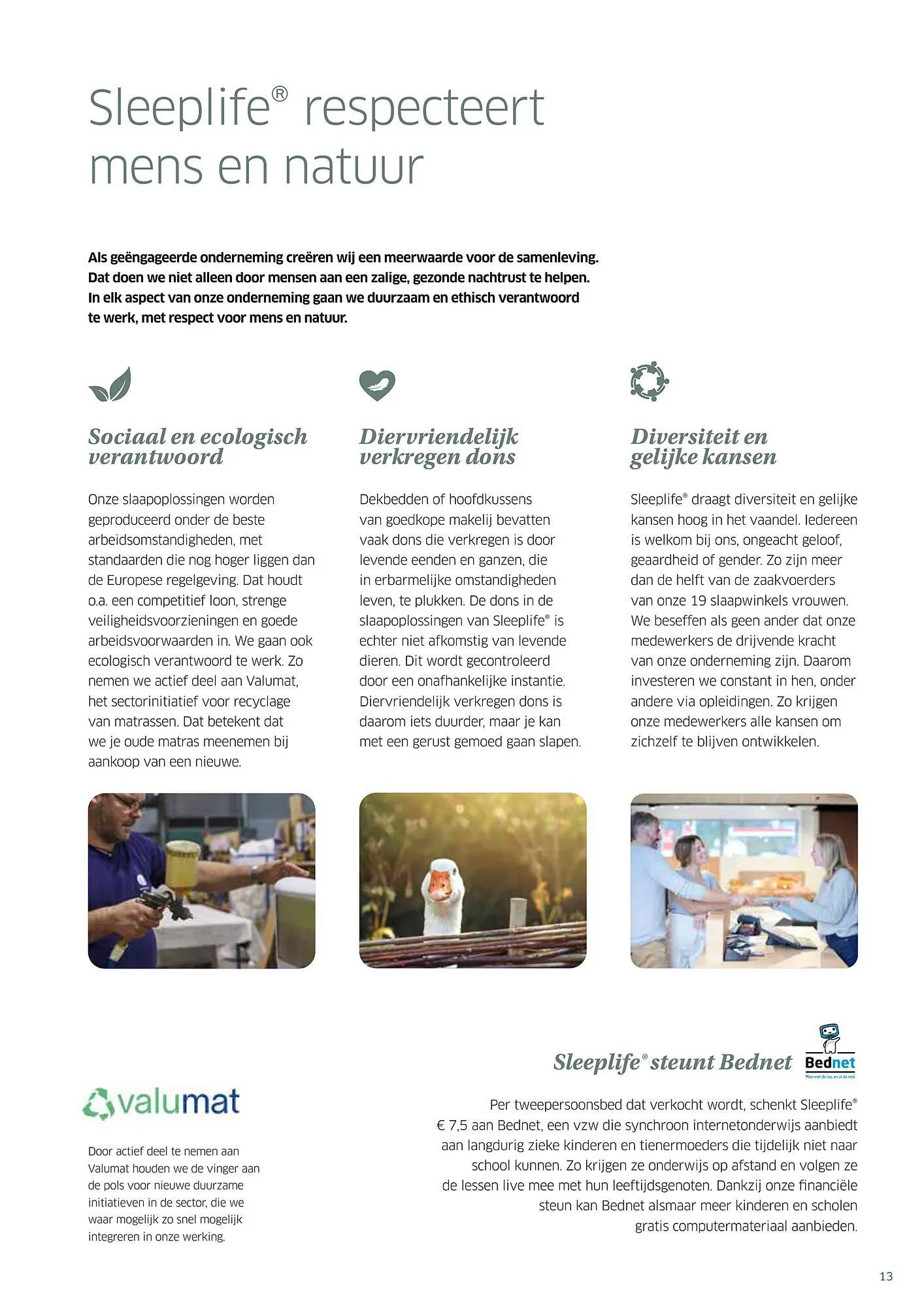 Sleeplife Folder van 20 juli tot 31 juli 2023 - folder pagina 13