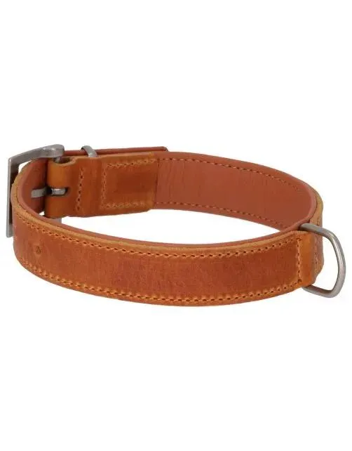 Adori Halsband Vetleder Gevoerd Cognac&Cognac - Hondenhalsband